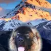 gr4023