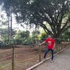 johan.becerra4