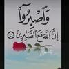 user225496690
