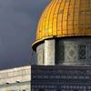palestiniangirlll48
