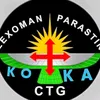 koka8978
