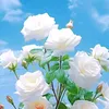 user3005612777454