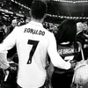 r7.m.o.a_1