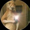 user69145813021945