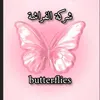 islamsaloma33344