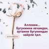 user6746900947539