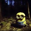 cyanidepois
