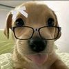 soy__tizi