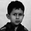 thebestfalco