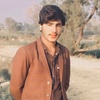 tariqmalik6686