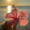 star_blossom_star