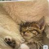 lotti9783