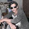 kutu.kupret353