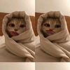 chatrine277