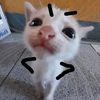 nosetambien7