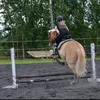 essinheppailut
