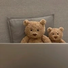 teddieishere03