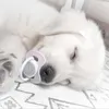 ashskjfuckjbqoxpi