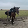 baddie🐎