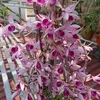 thuy.nguyenngoc5
