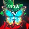user9169610462584
