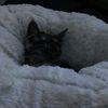 lucyshungry67