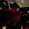 bellebellebellebe2