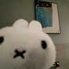 r._.ahima