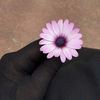 houda09829