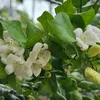 Góc nhỏ ☘️