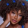 aurore2616