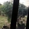 marini.hashim