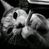 qymirrr_