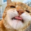zann__83
