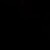 ່