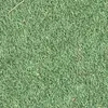 grassinthecomments