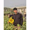 safat25