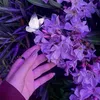 7_fm02