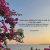 akouiradjemou.hanane