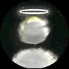 kornel_horvath