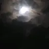 legarscommesa