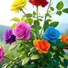 sawra_dolamary