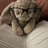 bookieye
