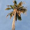 jacob_0874