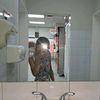 lesly20004