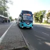 dimasik5099