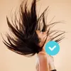 hairbrasil
