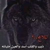 .wolf12344