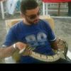user4488159055720