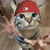 freddurstsleftsock7837